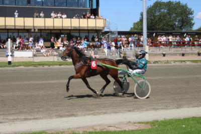 Ideal Stone har smag for vindercirkler