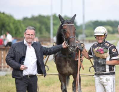 Storhesteejer stopper