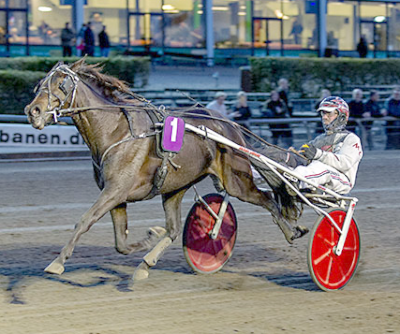 Koningin død efter infektion