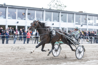 Nu kan Kungfufighting skrive historie!