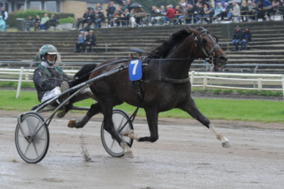 Knald eller fald i Aarhus!