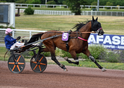 Dopingskandale: Frankrig bøjer sig ikke