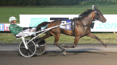 Dansk opdrættersucces i USA