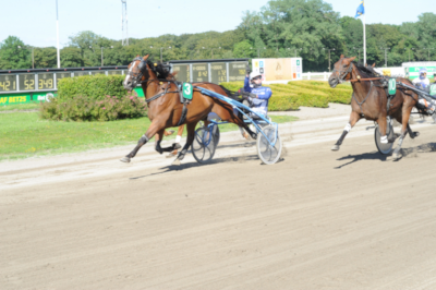 Aarhus: Ramte V5-alene for 64 kroner