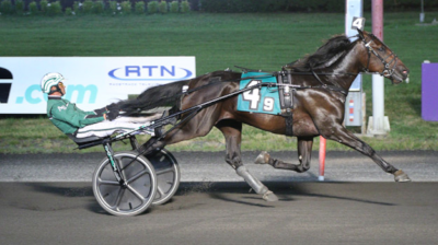 Svanstedt og 2-åringerne