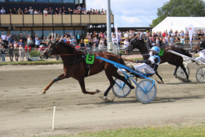 Stort rykind af gæstekuske på Bornholm