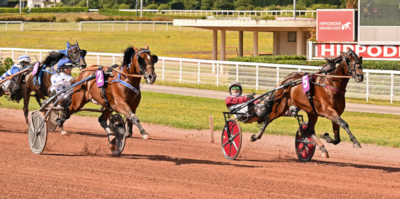 Hohneck-afkom på Derbyauktionen