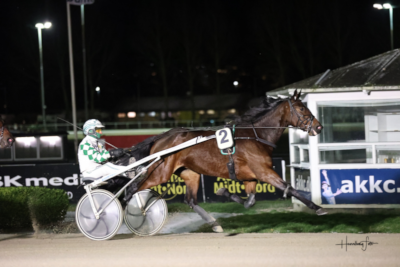 Otte dansktrænede heste til Åby
