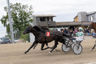 Trods virus i stalden – tre sejre til Flemming Jensen
