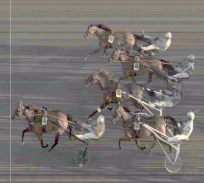 Dansktrænede heste tjente 275.000 kroner på Jägersro