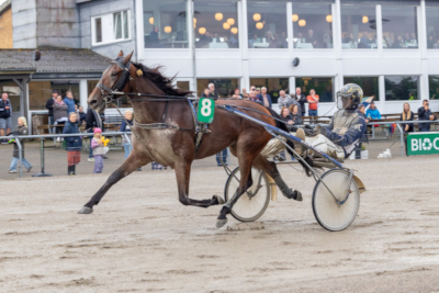 V65-Skive: ATGs spilklub, Succéandelar havde succes