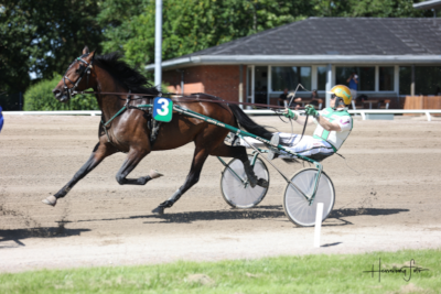 Wishing Stone dominerer 2-årsløbene