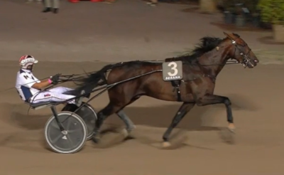 Nyt italiensk stjerneskud