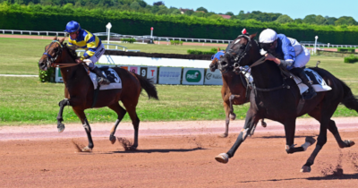 Dowhatyoudodowell tilbage i monté