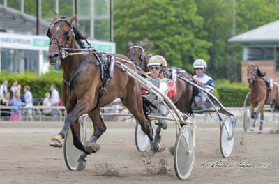 Kun Hands Up Cash blev solgt