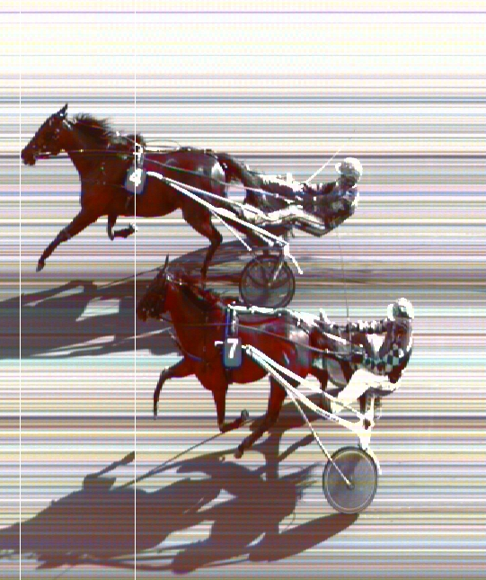 De kvalificerede sig til start i Dansk Hoppe Derby