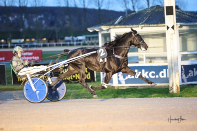 Gammel dansk i afstamningen hos Derbydeltager Joy Me