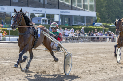 3x Juul – 3 x Lønborg