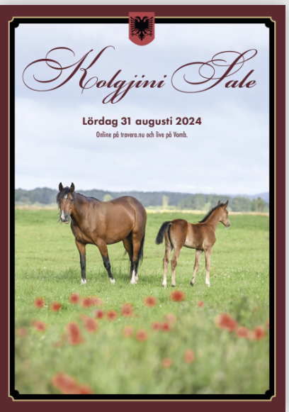 Tekniske problemer stoppede Kolgjini auktionen