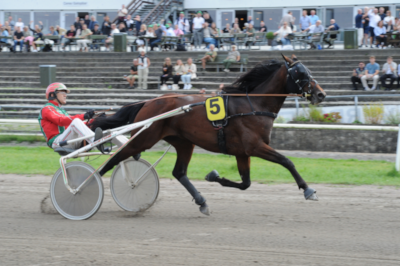 Fortsat ubesejret trods galop