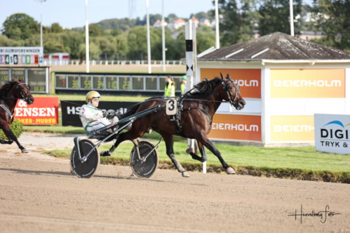 Spændende sæsondebutant på Lunden