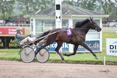 Midtfjeld kører for Korfitsen