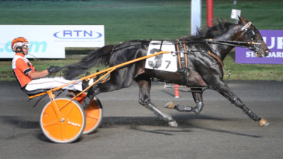 Hollandsk 2-åring hurtigste vinder på The Meadowlands