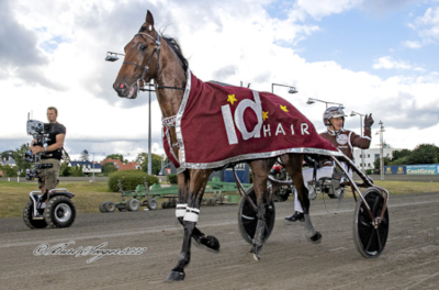 Endnu en tophest til Gocciadoro