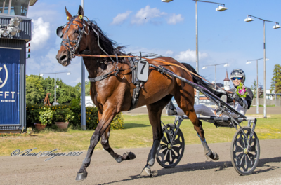 Dansk favorit på Vincennes i eftermiddag