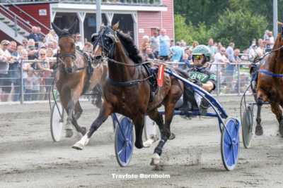 Zaffiro Jet tilbage i træning