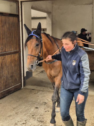 Er det NU, Hnokki Speed?