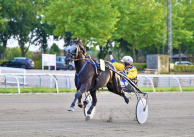 Fra ponytrav til travsport med succes