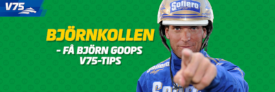 Store favoritter i V75-spillet på Hagmyren