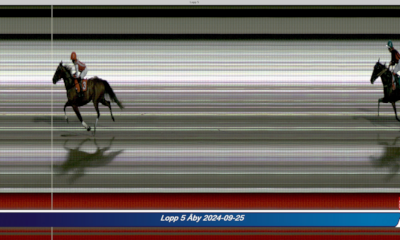 En ny monté-ekspert