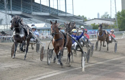 Auktionsheste fra den ”dyre ende” vandt de svenske Derbyløb.