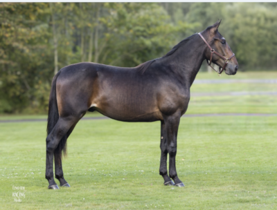 Åby-auktion: Disney og Juel købte