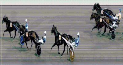 Svensk Mästerskap: High On Pepper vandt!