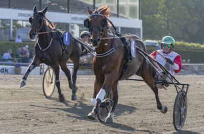 Kan blive champion 20 år efter