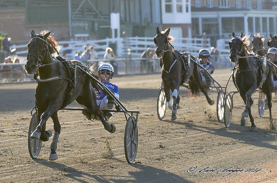 Faste odds på årets største storløb