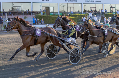 Know Your Shadow-sagen: Urimelig lang svartid på prøve