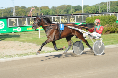 Steen Juul og 3-åringerne