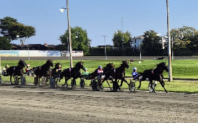 Dansk Trav Kriterium: De kvalificerede sig