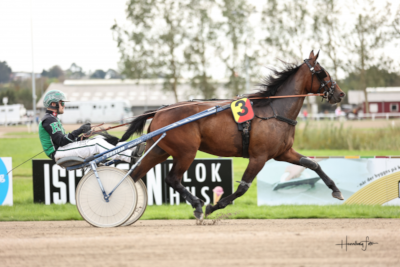 Skive: Vil Nicklas Korfitsen dominerer?