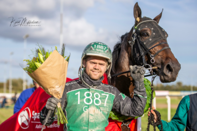 Tre nye heste hos Nicklas Korfitsen