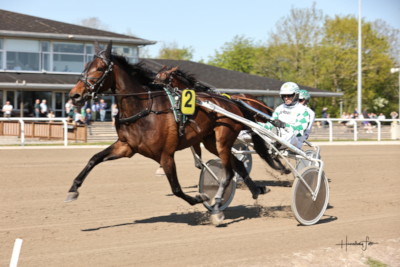 Queen of America til USA