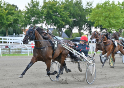 Vamos Flax i træning på Solvalla