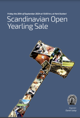 Auktion over fuldblodsåringer på York.