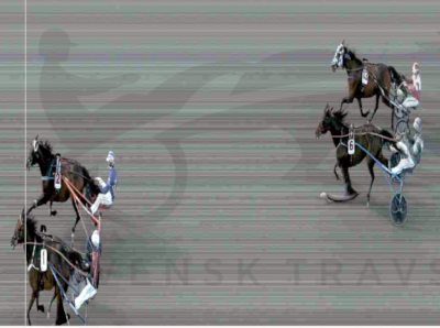 Danske Hotspurs blev Bredloppsmästar på Vaggeryd