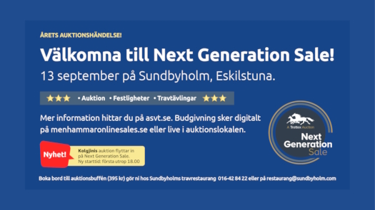 To auktioner i ét