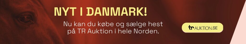 Svensk internetauktion – også med danske heste
